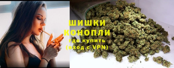 винт Новозыбков