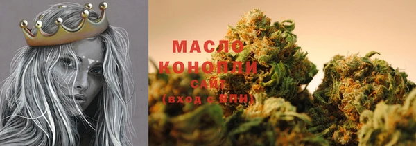 винт Новозыбков