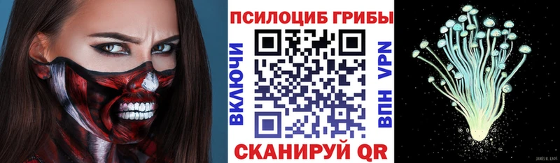 mega как зайти  Кондрово  Псилоцибиновые грибы GOLDEN TEACHER 